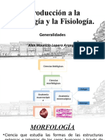 Introducción A La Morfofisiología