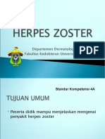 4.herpes Zoster
