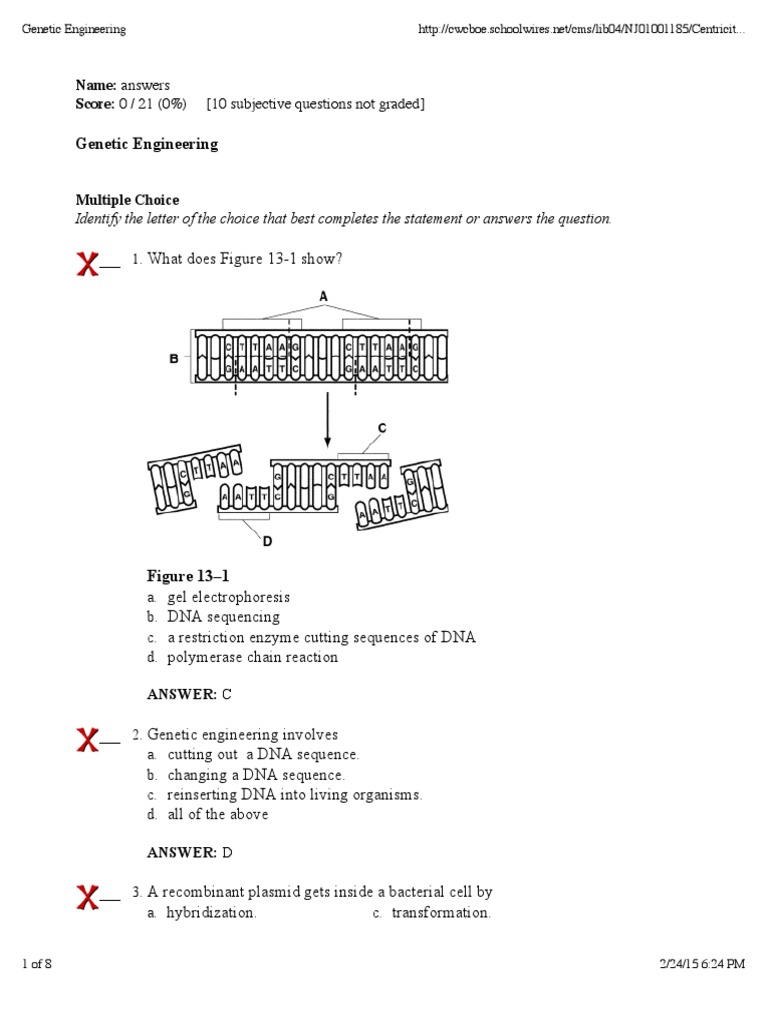 Practice Test Answers PDF Plasmid Molecular Cloning