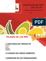Presentacion BPA 2021