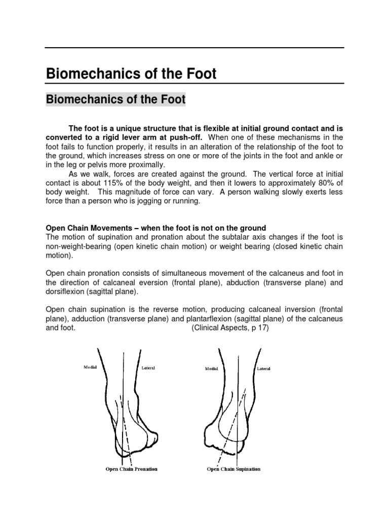 Foot Biomechanics: Inversion and Eversion | PDF | Anatomical Terms Of ...