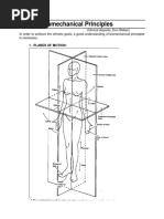 Kafo Measurement Chart | PDF