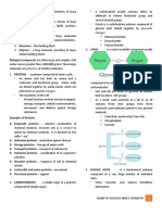 BIOCHEMISTRY - The Study of The Chemistry of Living: Linkages