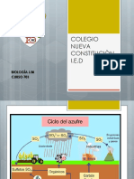 Ciclos Biogeoquimicos S