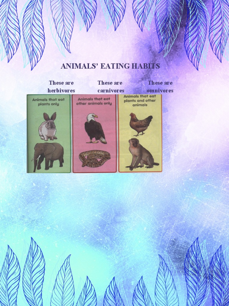 Animals' Eating Habits Overview | PDF