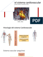 Histología Del Sistema Cardiovascular 21-2