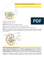 Intro A Patologia Renal - Dirceu