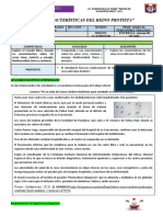 Ficha Informativa - Características Del Reino Protista