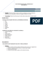 GUIA IPG 3. Semiologia y Tratamiento