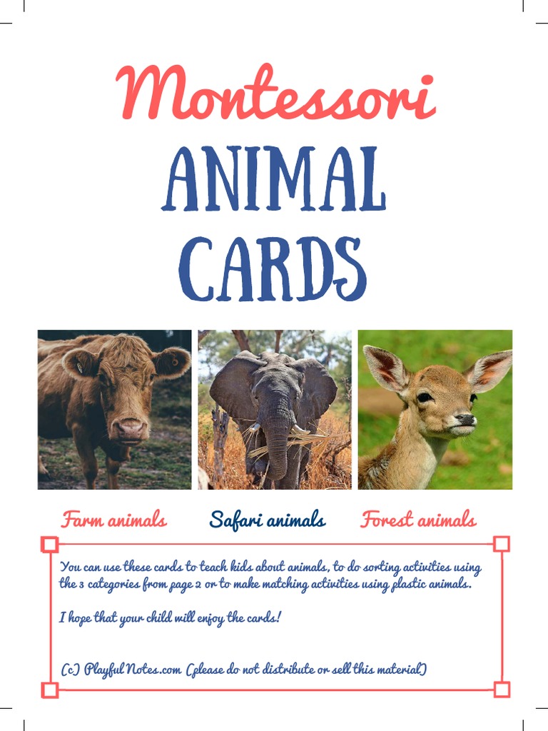 Montessori Animal Cards Printable 2 | PDF for Free Printable Montessori Animal Cards