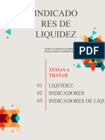 Indicadores de Liquidez Exposicion