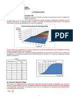 Función de Producción-Apuntes