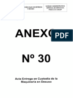 Anexo 30