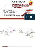 Plan Terapeutico de Terapia para Anemias - Completo