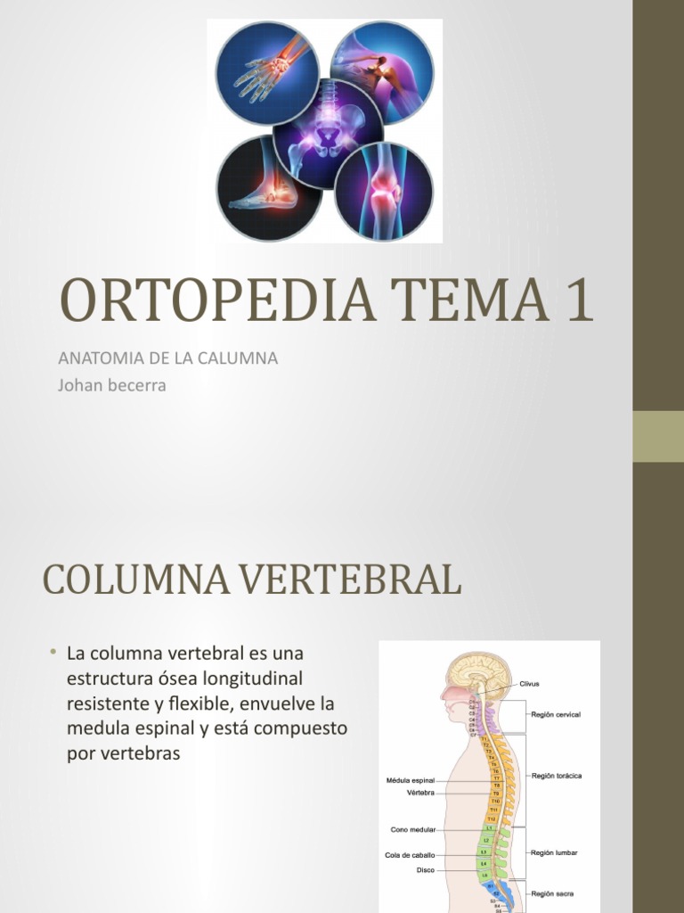 Anatomía y Patologías de la Columna Vertebral | PDF | La columna ...