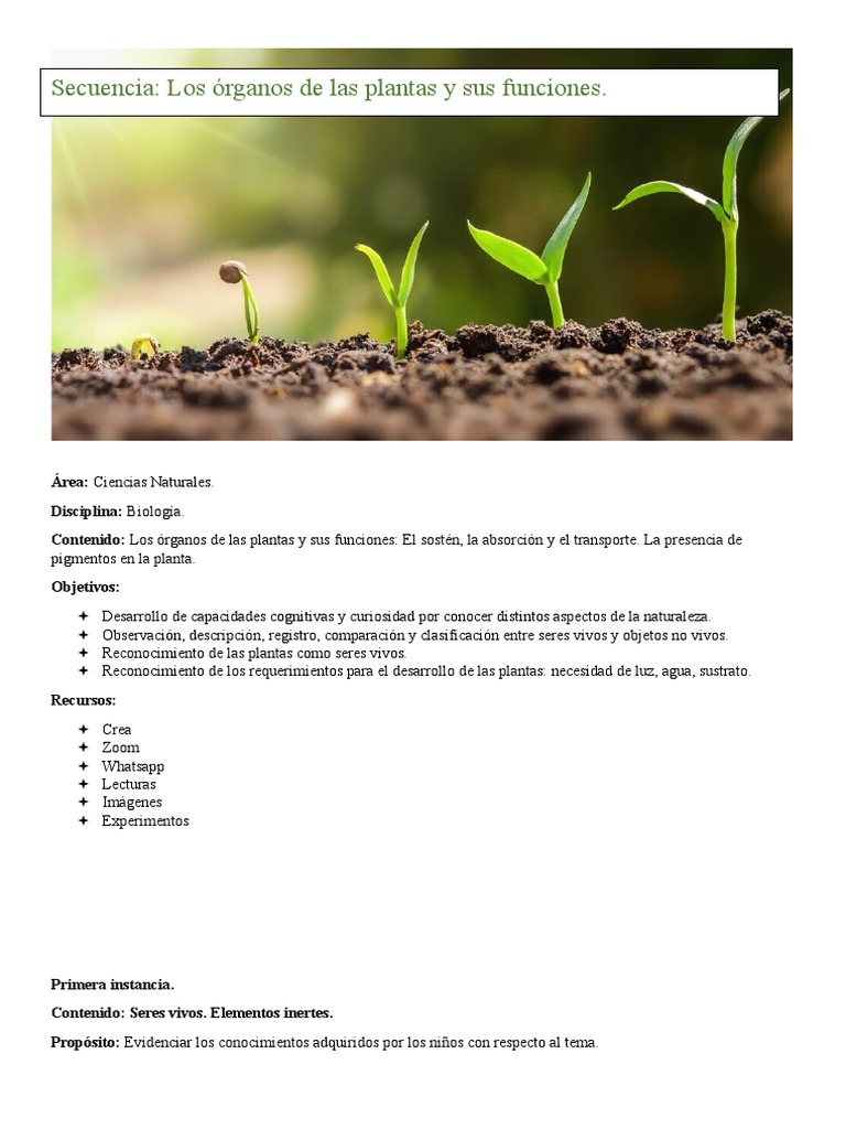 Secuencia Didáctica: Partes de las Plantas | PDF | Plantas | Suelo