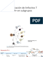 Diferenciación de Linfocitos T CD4+ en Subgrupos-Fusionado