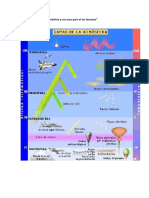 Plantilla "Capas de La Atmósfera y Sus Usos para El Ser Humano"