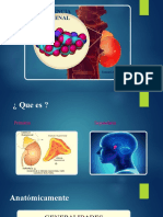 Diapositivas SUPRERRENALES