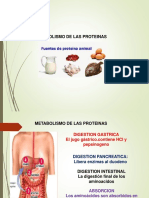 Metabolismo de Proteinas