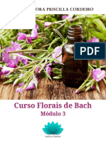 modulo3 florais