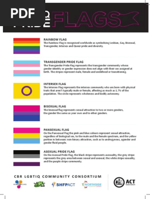 Pride-Flags-Guide-Printable