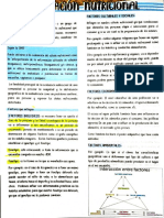 Documento 20