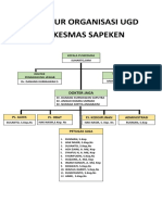 Struktur Organisasi UGD Puskesmas Sapeken