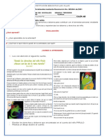 Derechos y deberes niño guía sociales grado 3