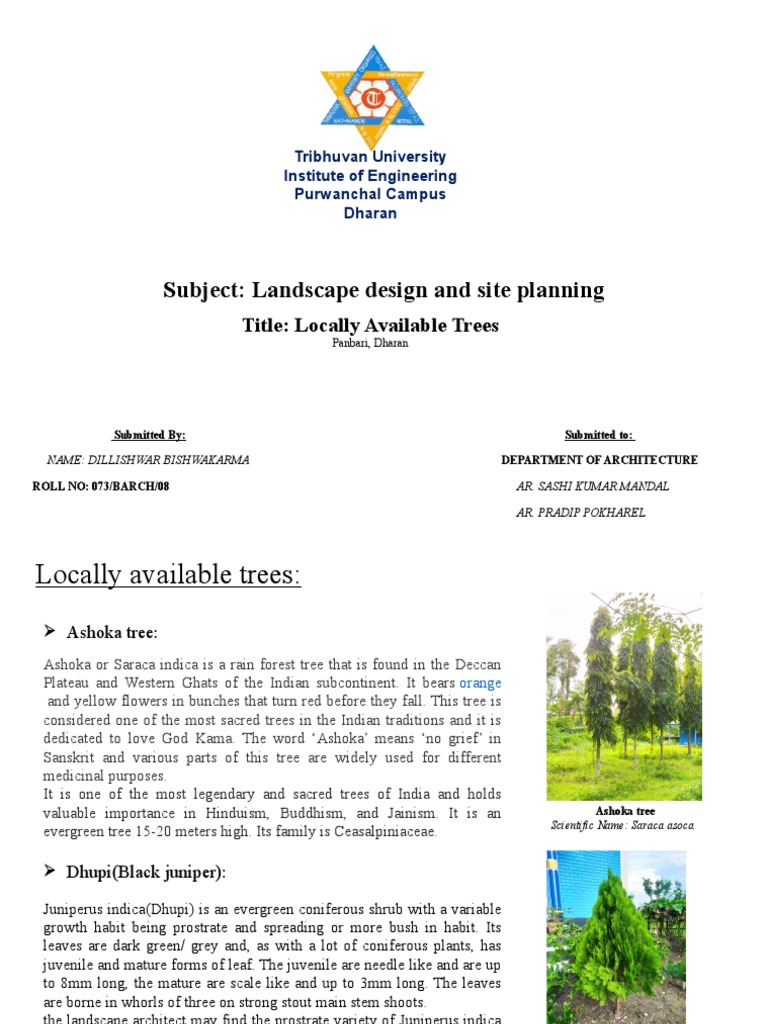 Tree Used in Landscape Design | Download Free PDF | Coconut | Plants