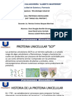 Grupo 02_proteinas Unicelulares