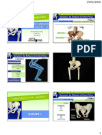 Anatomia Do Quadril e Sacro Íliaca Para Cursos de Quiropraxia Das Disfunções Da Cintura Pelvica