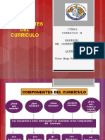 COMPONENTES   DEL  CURRICULO