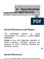 Lesson 6: Socialization Structure and Society