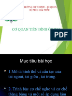 Cơ Quan Tiền Đình Ốc Tai