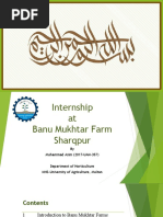 Internship Presentation - M.Asim