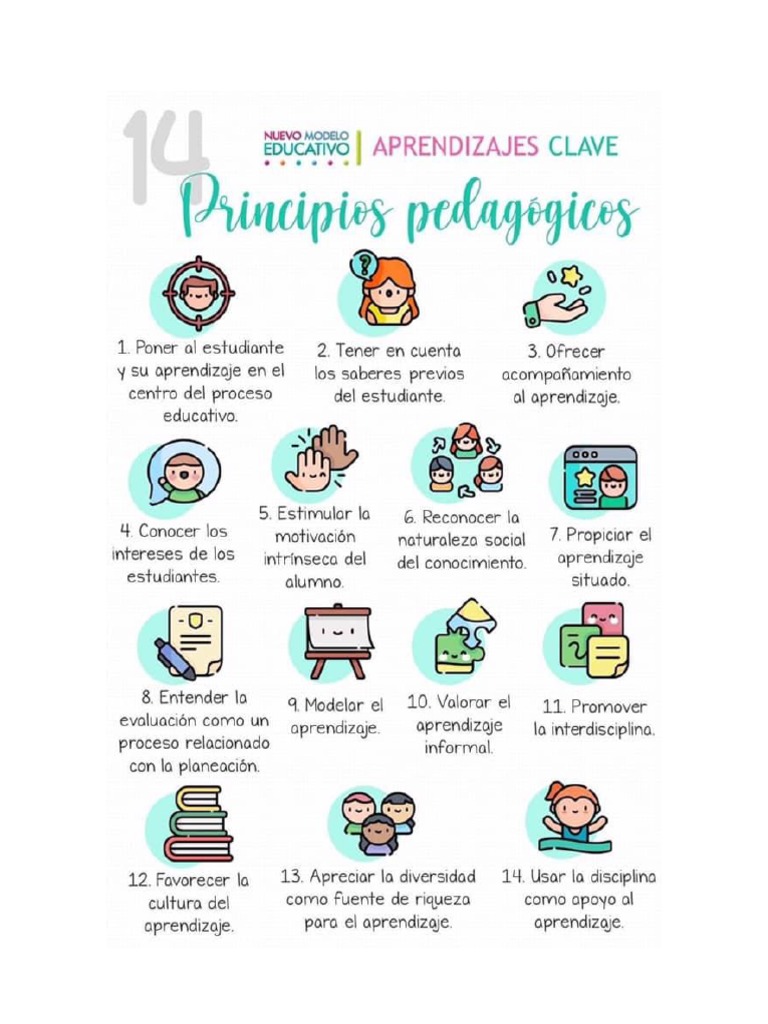 14 Principios Pedagógicos | PDF