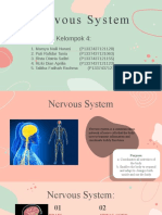 Nervous System Kel 4