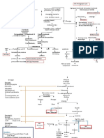 Pathway DHF