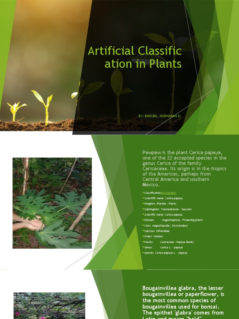 Artificial Classification in Plants PDF Plants Botany