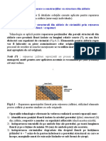 CURS 3 - Reparatii Structuri Zidarie