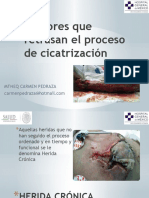 Factores Que Retrasan El Proceso de Cicatrización