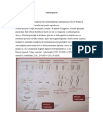 TEORIA CELOR 2 CELULE Scurt-Istoric -Gametogeneza -Ovulatie -Fecundatie -Nidatie -Placentatia-1 (1)