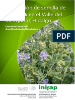 4177 4889 Producción de Semilla de Alfalfa en El Valle Del Mezquital Hidalgo