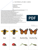 Insects Nomenclature Cards