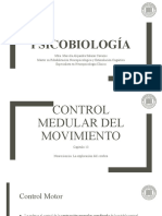 Control Medular y Cerebral Del Movimiento