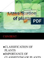 Classification of Plants: Group 2: Joebert V. Delos Santos Rochelle B. Benavente Glydel F. Belencio Bse-1 Filipino