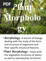 Plant Morphology