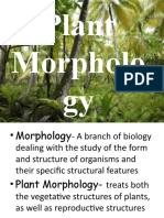 Plant Morphology