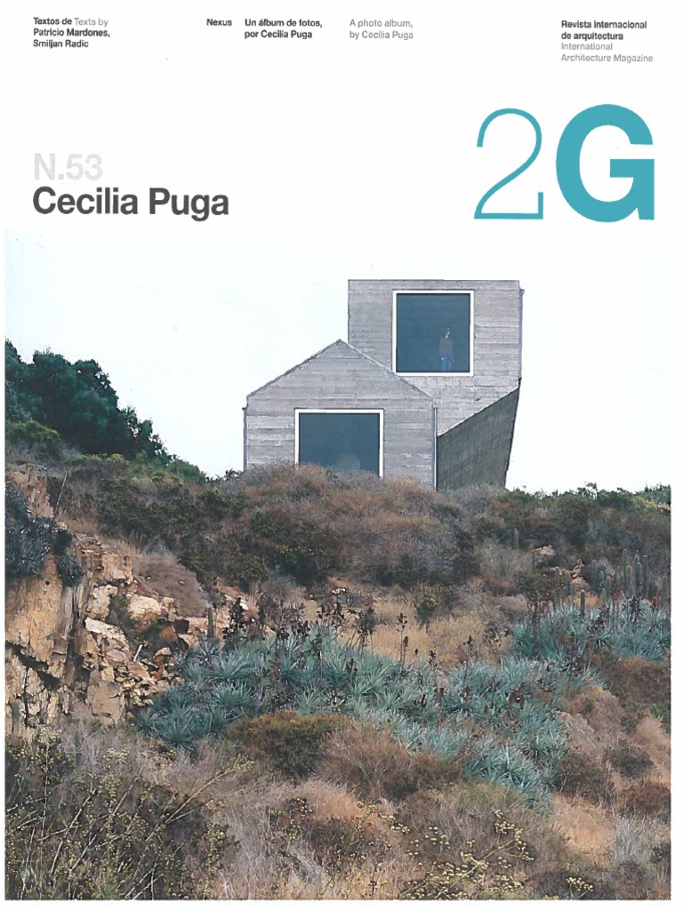 2G N.53 Cecilia Puga | ArchDaily en Español